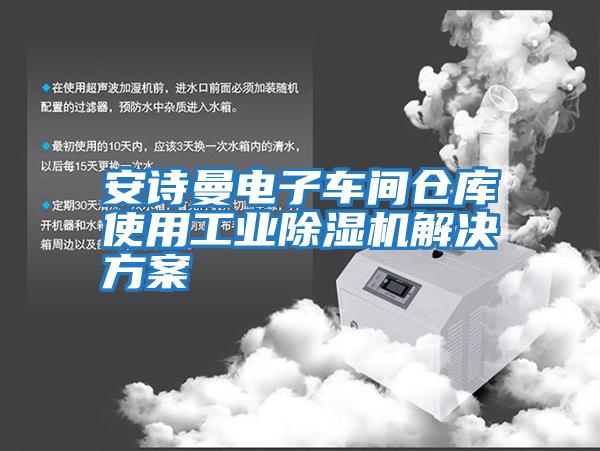 安詩(shī)曼電子車(chē)間倉(cāng)庫(kù)使用工業(yè)除濕機(jī)解決方案