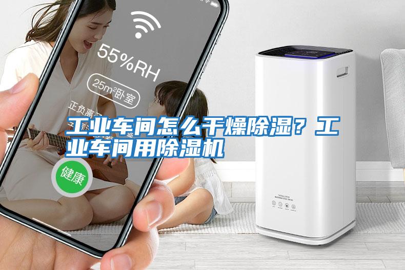 工業(yè)車間怎么干燥除濕？工業(yè)車間用除濕機