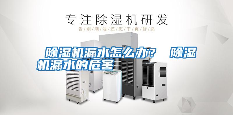  除濕機(jī)漏水怎么辦？ 除濕機(jī)漏水的危害