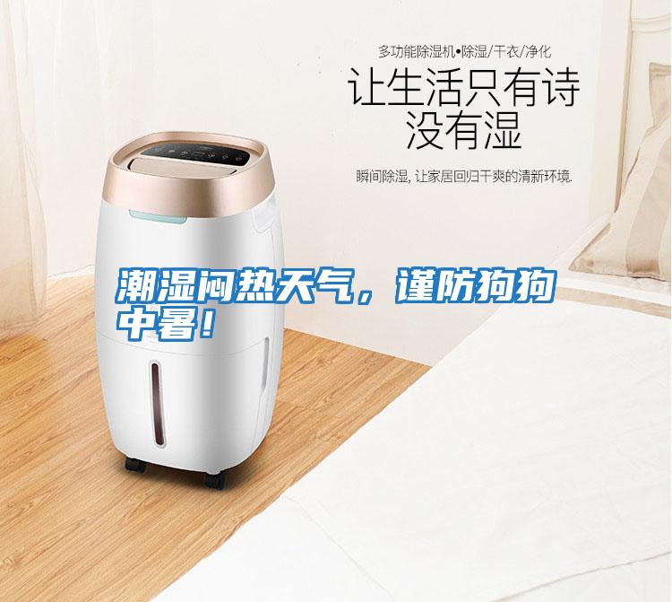潮濕悶熱天氣，謹防狗狗中暑！