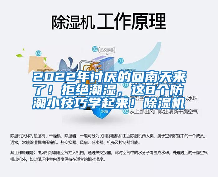 2022年討厭的回南天來了！拒絕潮濕，這8個防潮小技巧學起來！除濕機