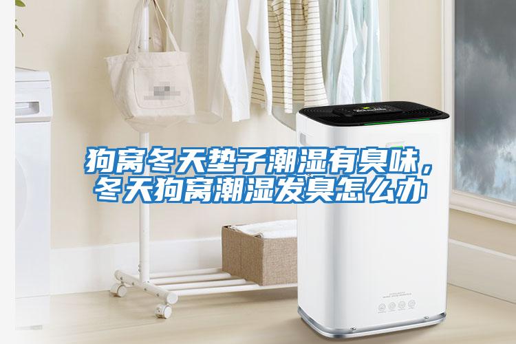 狗窩冬天墊子潮濕有臭味，冬天狗窩潮濕發(fā)臭怎么辦