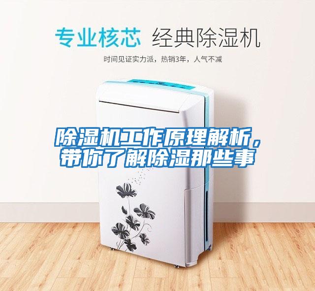 除濕機工作原理解析，帶你了解除濕那些事