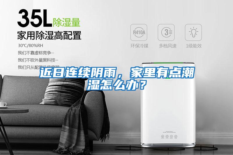 近日連續陰雨，家里有點潮濕怎么辦？