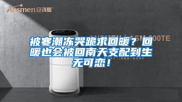 被寒潮凍哭跪求回暖？回暖也會(huì)被回南天支配到生無(wú)可戀！