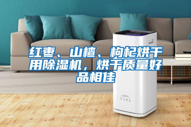 紅棗、山楂、枸杞烘干用除濕機，烘干質量好品相佳