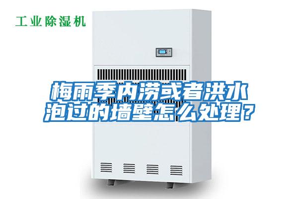 梅雨季內澇或者洪水泡過的墻壁怎么處理？