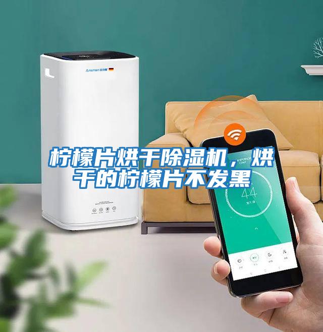 檸檬片烘干除濕機，烘干的檸檬片不發黑