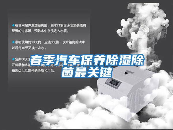 春季汽車保養(yǎng)除濕除菌最關鍵