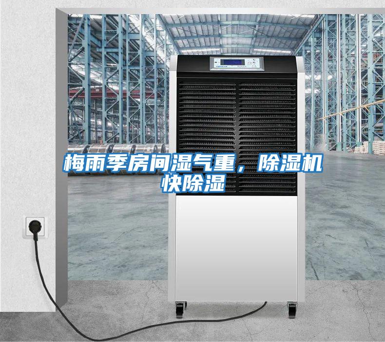 梅雨季房間濕氣重，除濕機快除濕