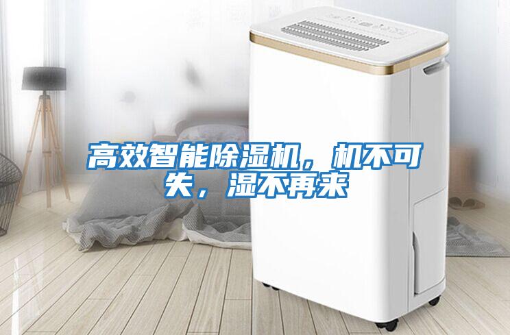 高效智能除濕機，機不可失，濕不再來