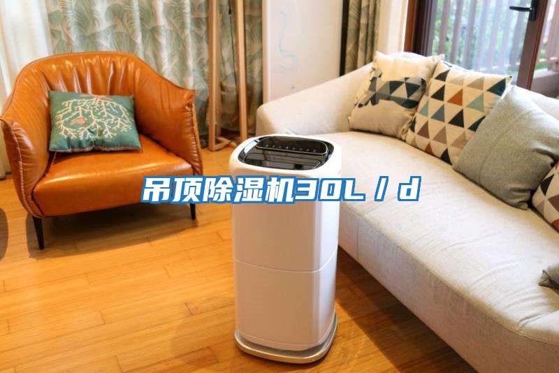 吊頂除濕機(jī)30L／d