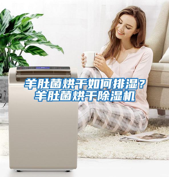 羊肚菌烘干如何排濕？羊肚菌烘干除濕機