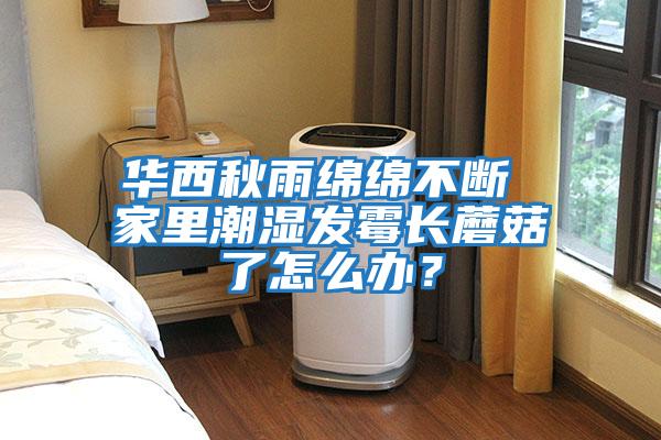 華西秋雨綿綿不斷 家里潮濕發霉長蘑菇了怎么辦？
