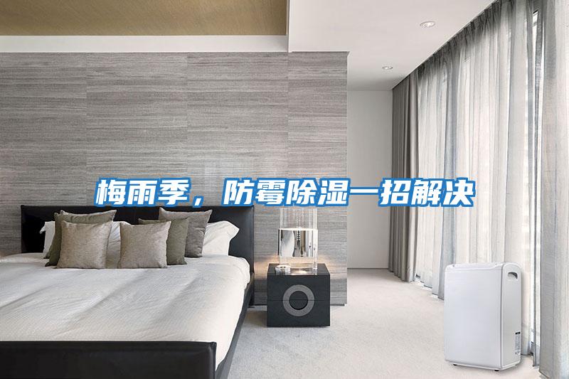 梅雨季，防霉除濕一招解決