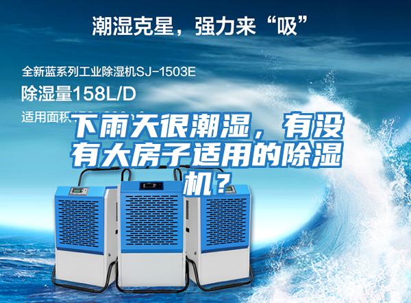 下雨天很潮濕，有沒有大房子適用的除濕機(jī)？