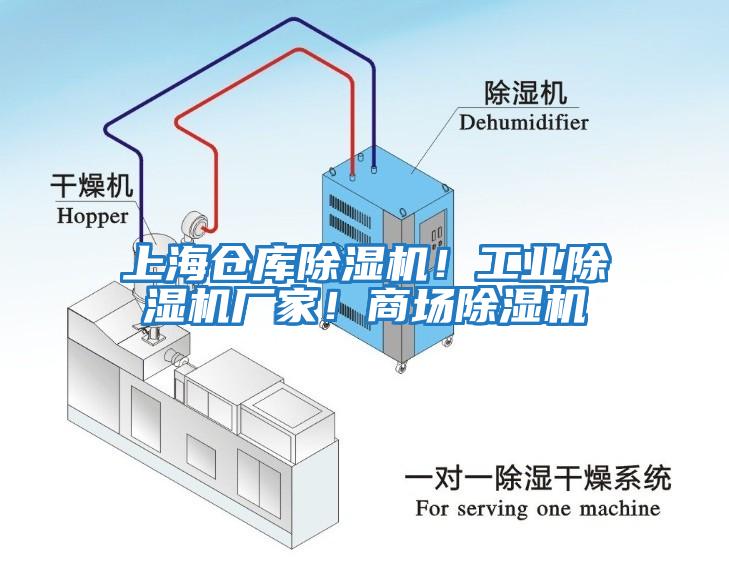 上海倉庫除濕機！工業(yè)除濕機廠家！商場除濕機