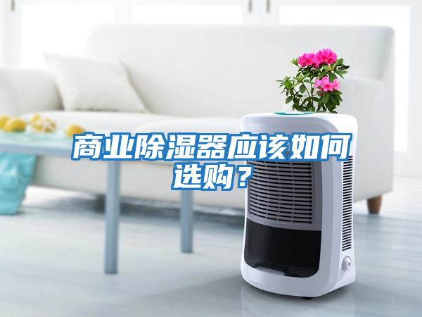 商業(yè)除濕器應(yīng)該如何選購？