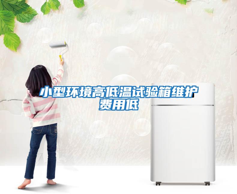 小型環(huán)境高低溫試驗箱維護(hù)費用低