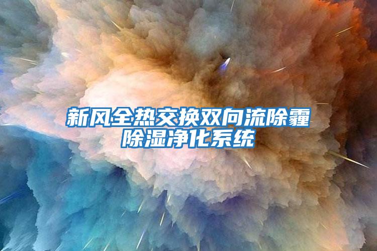 新風全熱交換雙向流除霾除濕凈化系統(tǒng)