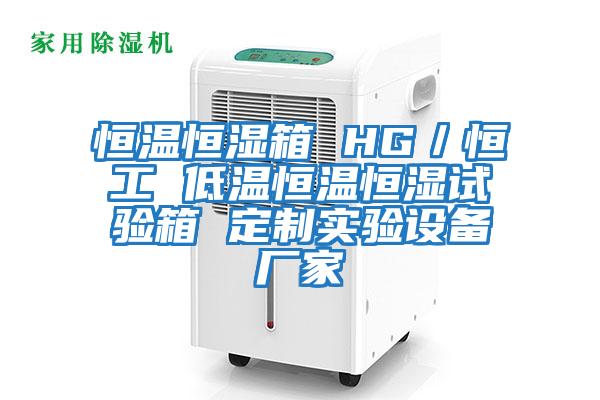 恒溫恒濕箱 HG／恒工 低溫恒溫恒濕試驗箱 定制實驗設(shè)備廠家