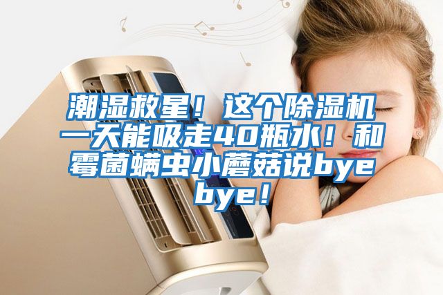 潮濕救星！這個除濕機一天能吸走40瓶水！和霉菌螨蟲小蘑菇說bye bye！