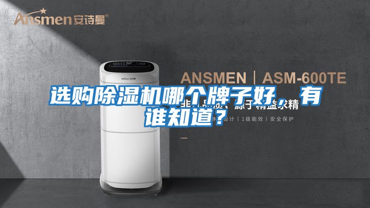 選購除濕機哪個牌子好，有誰知道？