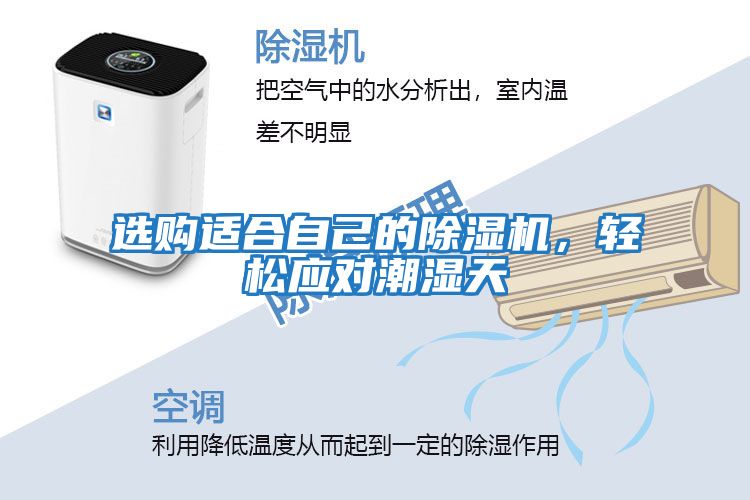 選購適合自己的除濕機，輕松應對潮濕天