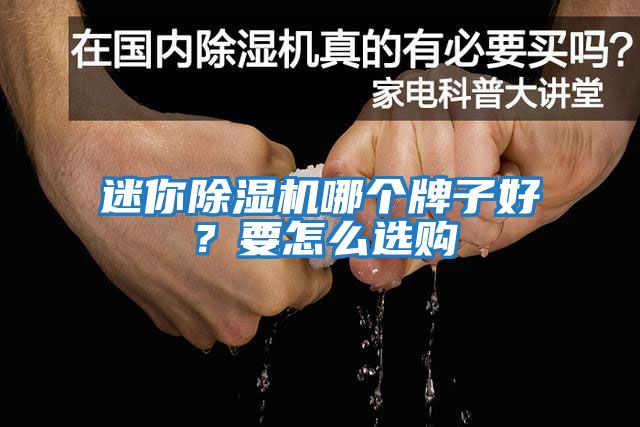 迷你除濕機哪個牌子好？要怎么選購
