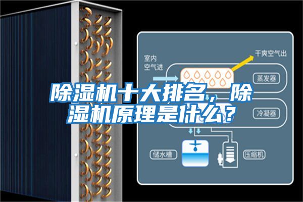 除濕機十大排名，除濕機原理是什么？