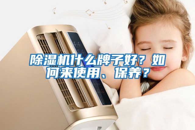 除濕機(jī)什么牌子好？如何來使用、保養(yǎng)？