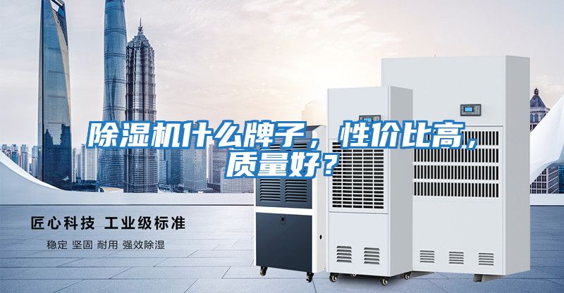 除濕機(jī)什么牌子，性價(jià)比高，質(zhì)量好？