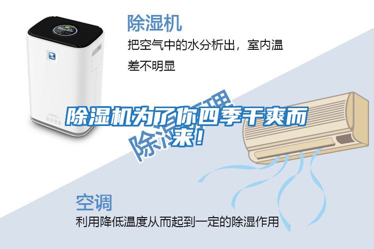 除濕機為了你四季干爽而來！