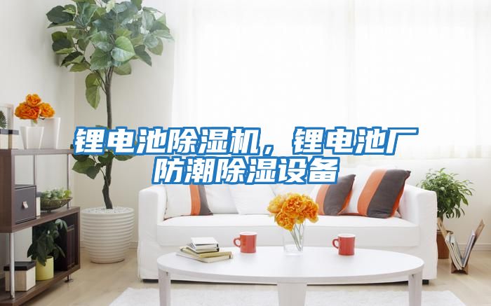 鋰電池除濕機，鋰電池廠防潮除濕設(shè)備