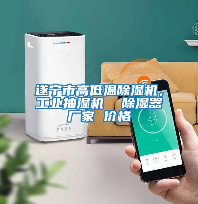 遂寧市高低溫除濕機(jī)，工業(yè)抽濕機(jī)  除濕器廠家 價(jià)格