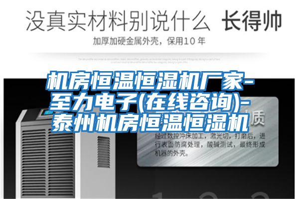 機(jī)房恒溫恒濕機(jī)廠家-至力電子(在線咨詢(xún))-泰州機(jī)房恒溫恒濕機(jī)
