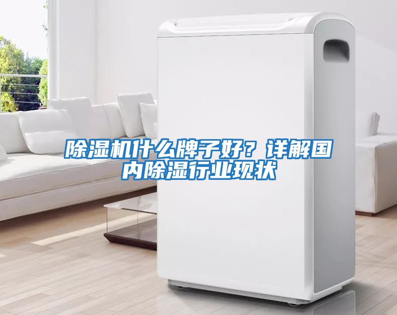 除濕機(jī)什么牌子好？詳解國內(nèi)除濕行業(yè)現(xiàn)狀