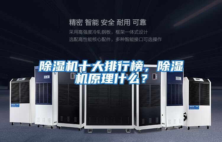 除濕機十大排行榜，除濕機原理什么？