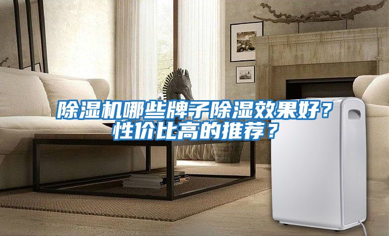 除濕機哪些牌子除濕效果好？性價比高的推薦？