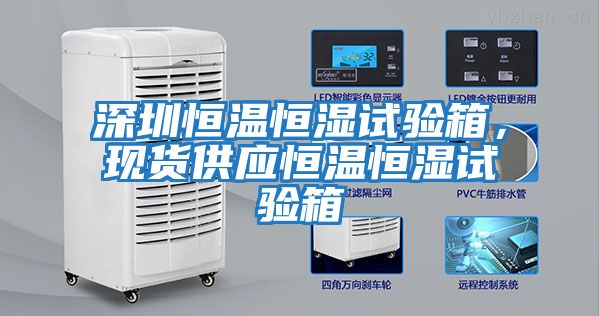深圳恒溫恒濕試驗箱，現貨供應恒溫恒濕試驗箱