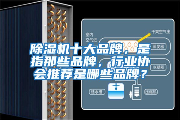 除濕機十大品牌，是指那些品牌，行業協會推薦是哪些品牌？