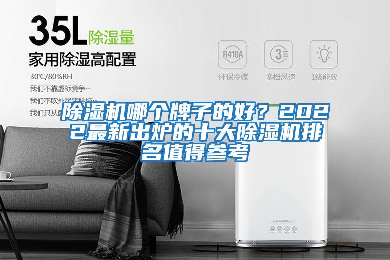 除濕機哪個牌子的好？2022最新出爐的十大除濕機排名值得參考