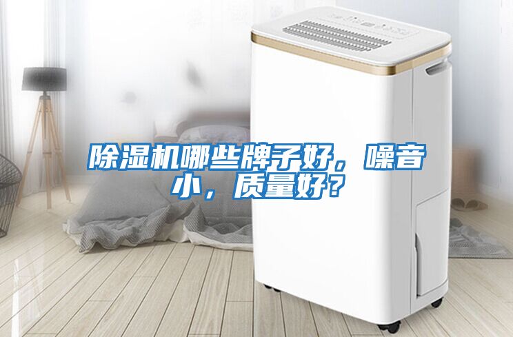 除濕機哪些牌子好，噪音小，質量好？