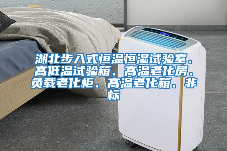 湖北步入式恒溫恒濕試驗室、高低溫試驗箱、高溫老化房、負(fù)載老化柜、高溫老化箱、非標(biāo)
