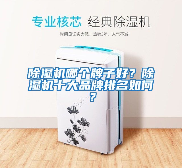 除濕機(jī)哪個牌子好？除濕機(jī)十大品牌排名如何？