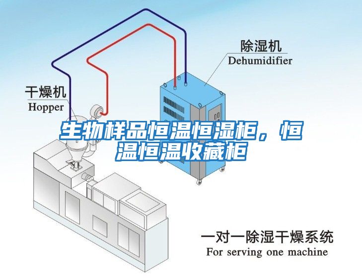 生物樣品恒溫恒濕柜，恒溫恒溫收藏柜
