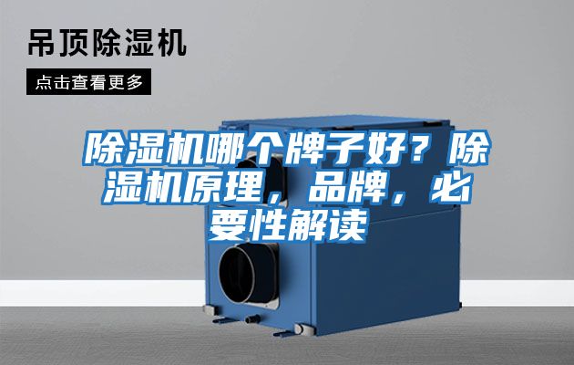 除濕機(jī)哪個牌子好？除濕機(jī)原理，品牌，必要性解讀