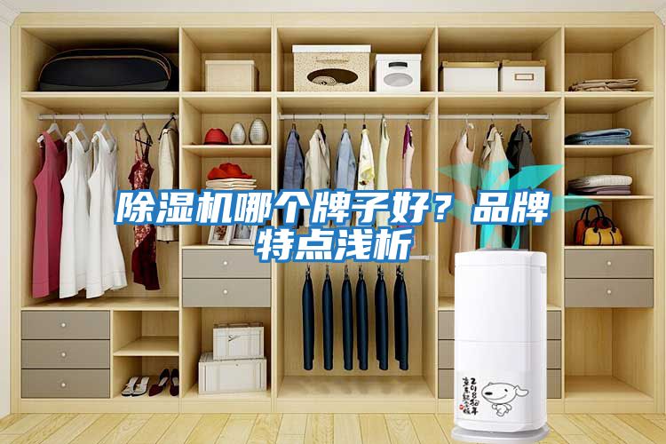 除濕機(jī)哪個牌子好？品牌特點(diǎn)淺析