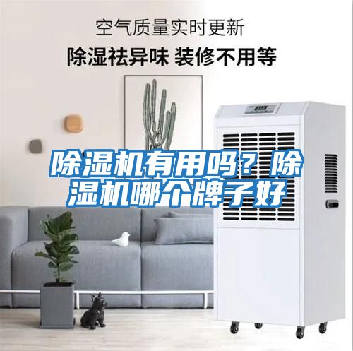 除濕機有用嗎？除濕機哪個牌子好