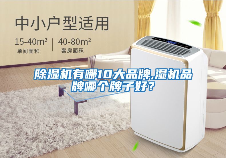 除濕機有哪10大品牌,濕機品牌哪個牌子好？